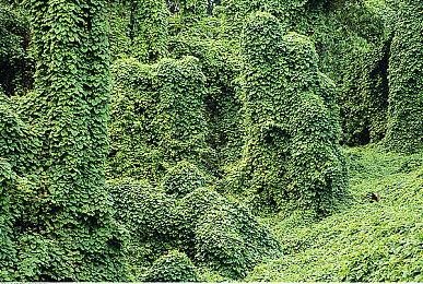 《城市：天际线2》使用Unity引擎已开发数年时间 没有多人模式